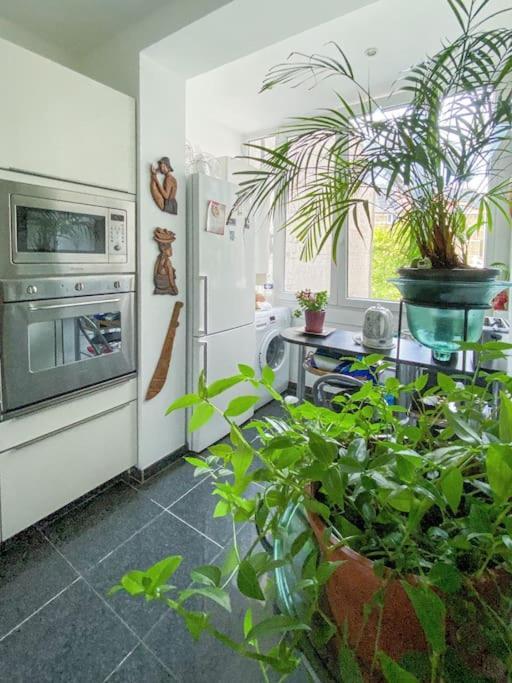 Elegance ,space & Luxury In Appartement Bruxelles
